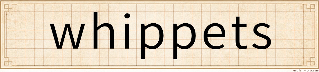 whippets