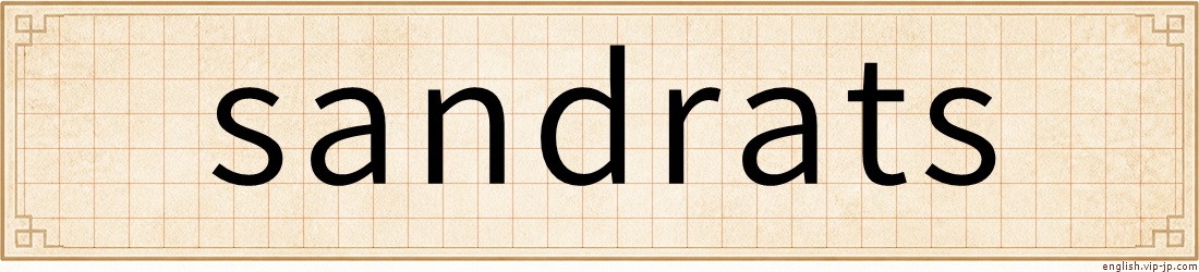 sandrats