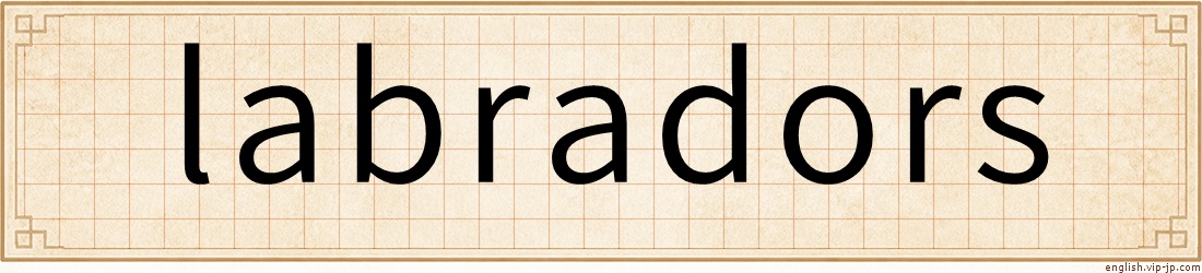 labradors