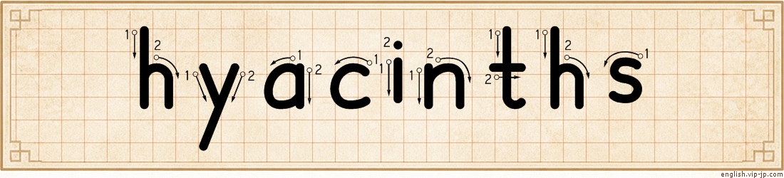 hyacinths lettering