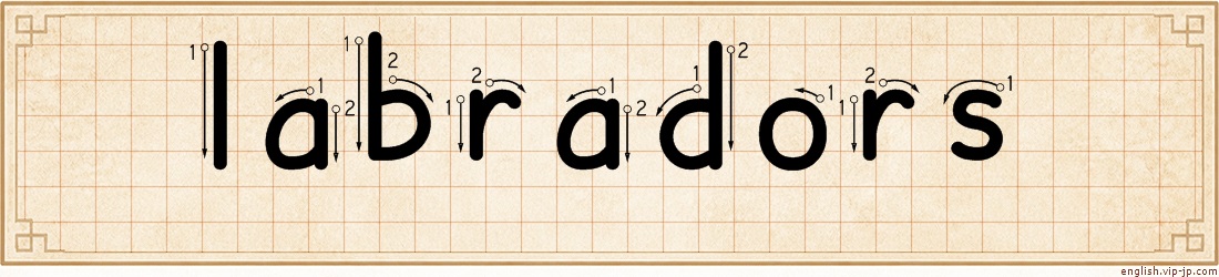 labradors lettering