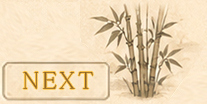 nextpage-link